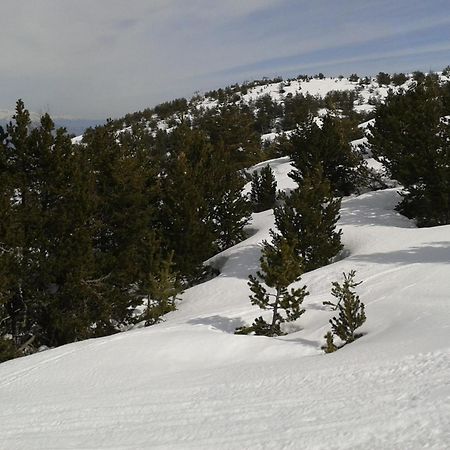 Apartment Face Aux Pistes Greolieres les Neiges Kültér fotó