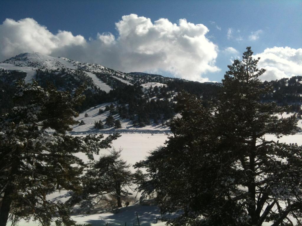 Apartment Face Aux Pistes Greolieres les Neiges Kültér fotó