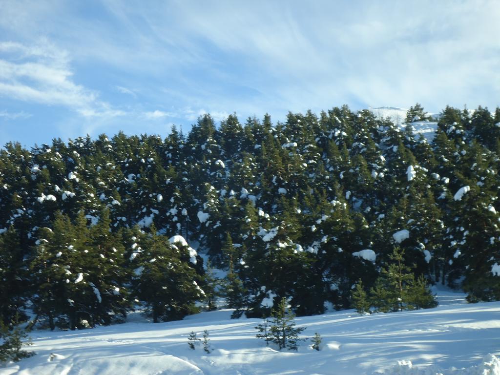Apartment Face Aux Pistes Greolieres les Neiges Kültér fotó