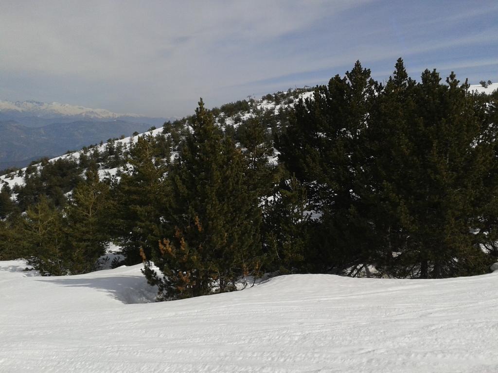 Apartment Face Aux Pistes Greolieres les Neiges Kültér fotó