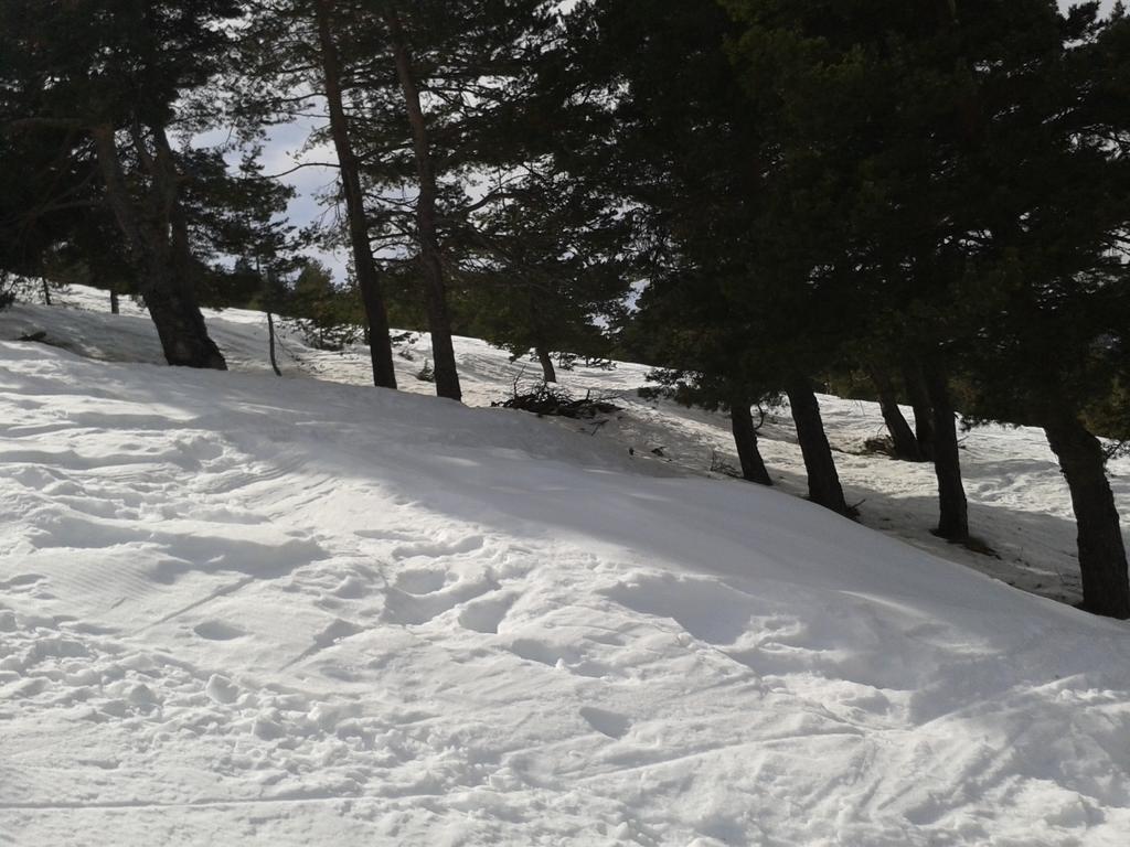 Apartment Face Aux Pistes Greolieres les Neiges Kültér fotó