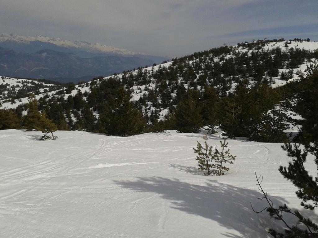 Apartment Face Aux Pistes Greolieres les Neiges Kültér fotó
