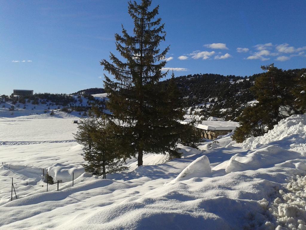Apartment Face Aux Pistes Greolieres les Neiges Kültér fotó